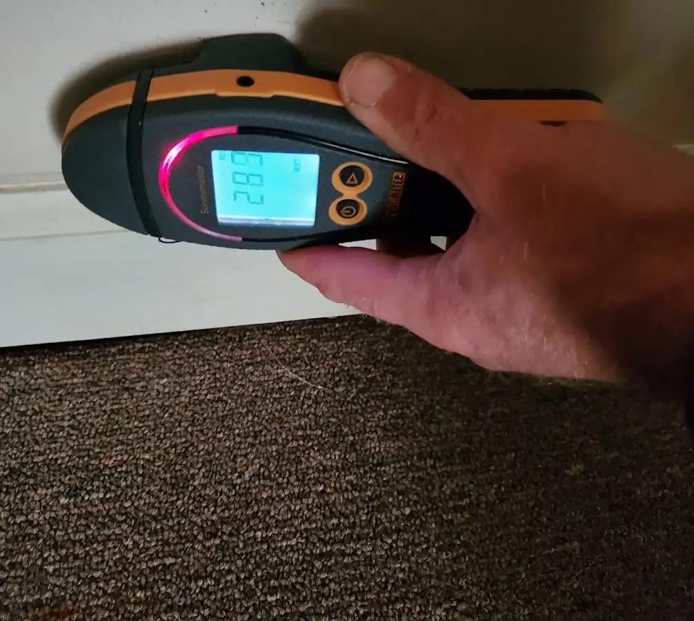Moisture detection at baseboard during Mold Inspection & Testing in Lodi